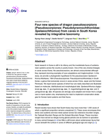 Four new species of dragon pseudoscorpions (Pseudoscorpiones: Pseudotyrannochthoniidae: Spelaeochthonius) from caves in South Korea revealed by integrative taxonomy