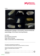 Multidecadal changes in the benthic macroinvertebrate assemblage of the Swan-Canning Estuary