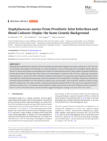 Staphylococcus aureus From Prosthetic Joint Infections and Blood Cultures Display the Same Genetic Background