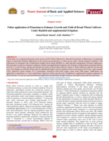 Foliar application of Potassium to Enhance Growth and Yield of Bread Wheat Cultivars Under Rainfed and supplemental Irrigation