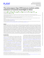 The metacaspase-Peps-PEPR immune module confers resistance to Fusarium head blight in wheat