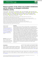 Natural variation of the wheat root exudate metabolome and its influence on biological nitrification inhibition activity