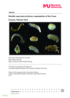 Benthic macroinvertebrate communities of the Swan Estuary Marine Park