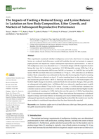 The Impacts of Feeding a Reduced Energy and Lysine Balance in Lactation on Sow Body Composition, Litter Growth, and Markers of Subsequent Reproductive Performance