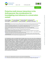 Protective multi-stressor interactions in the Anthropocene: Key considerations for investigating cross-tolerance in a conservation context