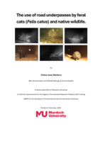The use of road underpasses by feral cats (Felis catus) and native wildlife.