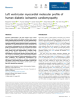 Left ventricular myocardial molecular profile of human diabetic ischaemic cardiomyopathy