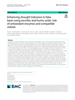 Enhancing drought tolerance in faba bean using ascorbic and humic acids: role of antioxidant enzymes and compatible solutes