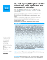 LIU-NET: lightweight Inception U-Net for efficient brain tumor segmentation from multimodal 3D MRI images