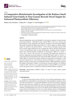 A Comparative Bioinformatic Investigation of the Rubisco Small Subunit Gene Family in True Grasses Reveals Novel Targets for Enhanced Photosynthetic Efficiency