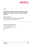 Improving the copper nutrition of peanut on sands with particular reference to South-Central Coastal Vietnam