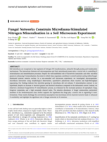 Fungal Networks Constrain Microfauna‐Stimulated Nitrogen Mineralisation in a Soil Microcosm Experiment