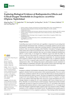 Exploring Biological Evidence of Radioprotective Effects and Critical Oxygen Thresholds in Zeugodacus cucurbitae (Diptera: Tephritidae)