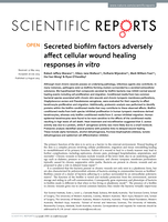Secreted biofilm factors adversely affect cellular wound healing responses in vitro