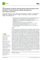 Transcriptome Analysis and Functional Characterization of the HvLRR_8-1 Gene Involved in Barley Resistance to Pyrenophora graminea