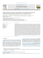 Characterization of microbial communities in the rhizosphere and water of a field-scale artificial floating island system for nutrient removal