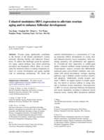 Celastrol modulates IRS1 expression to alleviate ovarian aging and to enhance follicular development