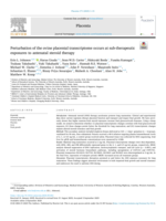 Perturbation of the Ovine Placental Transcriptome Occurs at Sub-Therapeutic Exposures to Antenatal Steroid Therapy