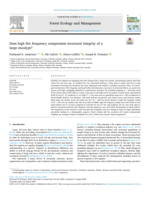 Does high fire frequency compromise structural integrity of a large eucalypt?