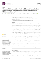 Genome-Wide Association Study and Transcriptome Analysis Reveal Alkaline Stress-Responsive Genes in Bread Wheat ( Triticum aestivum L.)