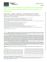 Haplotype-resolved reference genomes of the sea turtle clade unveil ultra-syntenic genomes with hotspots of divergence