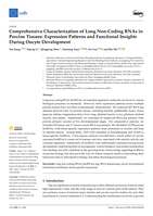 Comprehensive Characterization of Long Non-Coding RNAs in Porcine Tissues: Expression Patterns and Functional Insights During Oocyte Development
