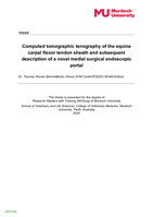 Computed tomographic tenography of the equine carpal flexor tendon sheath and subsequent description of a novel medial surgical endoscopic portal