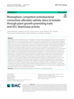 Rhizosphere-competent actinobacterial consortium alleviates salinity stress in tomato through plant growth-promoting traits and ACC deaminase activity
