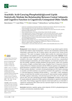 Arachidic Acid-Carrying Phosphatidylglycerol Lipids Statistically Mediate the Relationship Between Central Adiposity and Cognitive Function in Cognitively Unimpaired Older Adults