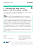 A transcription factor gene CaMYB114 associated with black seed coat in chickpea