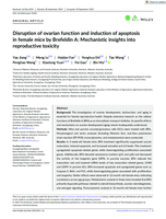 Disruption of ovarian function and induction of apoptosis in female mice by Brefeldin A: Mechanistic insights into reproductive toxicity