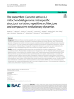 The cucumber (Cucumis sativus L.) mitochondrial genome: intraspecific structural variation, repetitive architecture, and comparative evolutionary dynamics