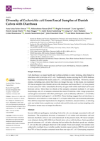 Diversity of Escherichia coli from Faecal Samples of Danish Calves with Diarrhoea