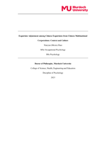 Expatriate Adjustment among Chinese Expatriates from Chinese Multinational Corporations: Context and Culture