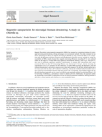 Magnetite nanoparticles for microalgal biomass dewatering: A study on Chlorella sp.