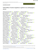 Vulnerability of marine megafauna to global at‐sea anthropogenic threats