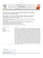 The effective role of organic acids as antibiotic alternatives in controlling necrotic enteritis in broiler chickens