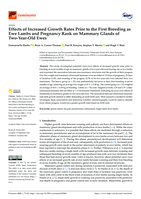 Effects of Increased Growth Rates Prior to the First Breeding as Ewe Lambs and Pregnancy Rank on Mammary Glands of Two-Year-Old Ewes