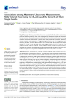 Associations among Mammary Ultrasound Measurements, Milk Yield of Non-Dairy Ewe Lambs and the Growth of Their Single Lambs