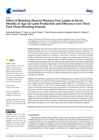 Effect of Breeding Heavier Romney Ewe Lambs at Seven Months of Age on Lamb Production and Efficiency over Their First Three Breeding Seasons