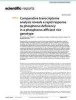 Comparative transcriptome analysis reveals a rapid response to phosphorus deficiency in a phosphorus-efficient rice genotype