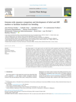 Genome-wide sequence comparison and development of InDel and SNP markers to facilitate localized rice breeding