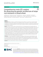 Comprehensive meta-QTL analysis for dissecting the genetic architecture of stripe rust resistance in bread wheat