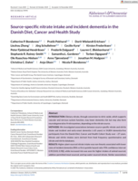 Source‐specific nitrate intake and incident dementia in the Danish Diet, Cancer and Health Study