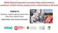 REIMS (Rapid Evaporative Ionisation Mass Spectrometry) prediction of beef sensory quality and its relationships to fat level