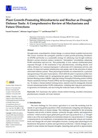 Plant Growth-Promoting Rhizobacteria and Biochar as Drought Defense Tools: A Comprehensive Review of Mechanisms and Future Directions