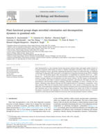 Plant functional groups shape microbial colonization and decomposition dynamics in grassland soils