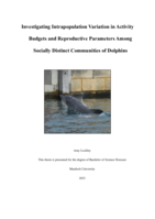 Investigating Intrapopulation Variation in Activity Budgets and Reproductive Parameters Among Socially Distinct Communities of Dolphins