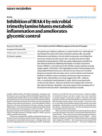 Inhibition of IRAK4 by microbial trimethylamine blunts metabolic inflammation and ameliorates glycemic control