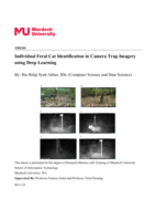 Individual Feral Cat Identification in Camera Trap Imagery using Deep Learning